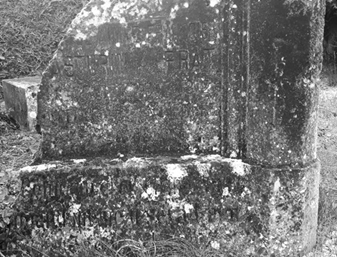 la tombe Pasturin au cimetière 